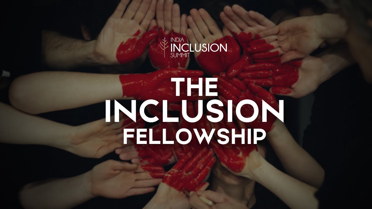 The Inclusion Fellowship Crowdfunding Campaign at IIS 2017